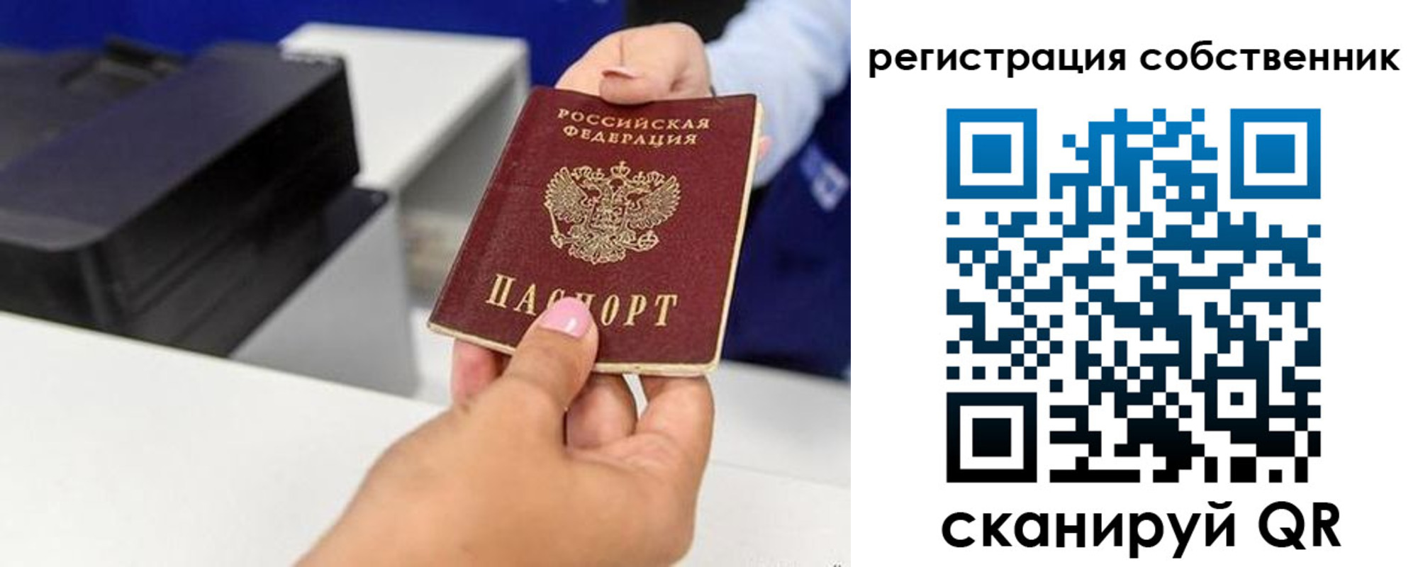 прописка для школы в Сосенском